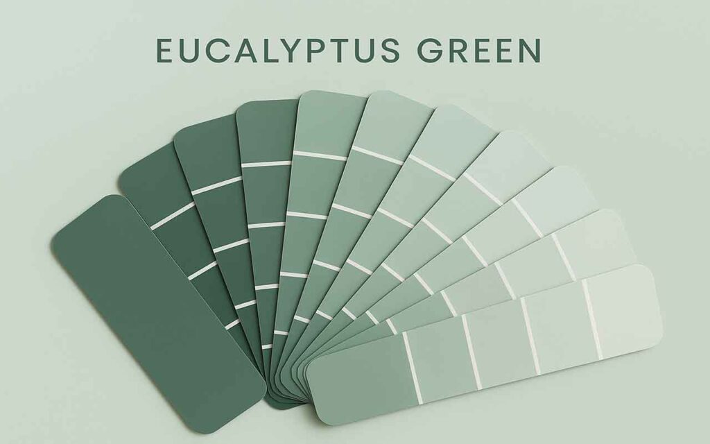 Déco vert eucalyptus : douceur, fraîcheur et élégance naturelle